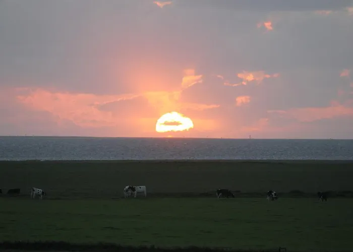 Astrupgaard Farm Skærbæk